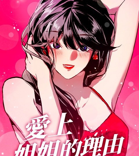 愛上姐姐的理由(斗娜！)封面